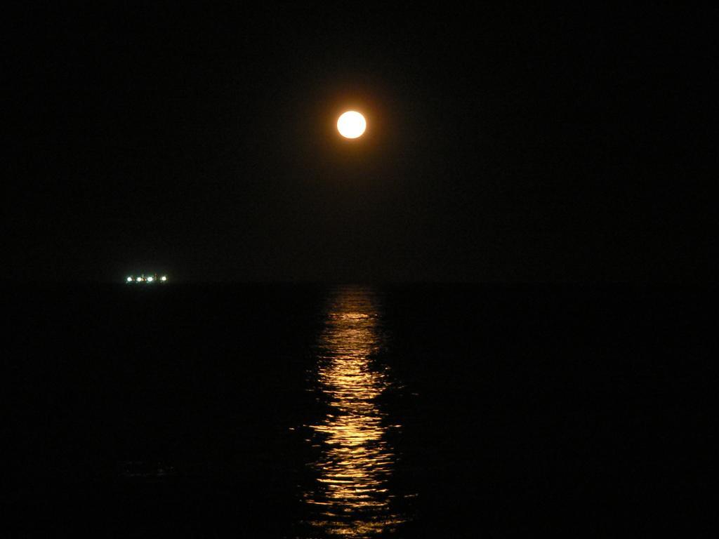 Espectacular Alem 5007 Piso 7 Leilighet Mar del Plata Rom bilde